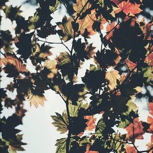 Meet your Posher, Dalveer sidhu